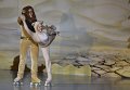 Lionking 0026